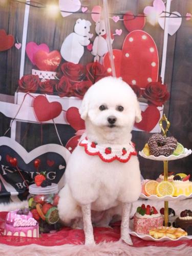 20250216MAPLEちゃん